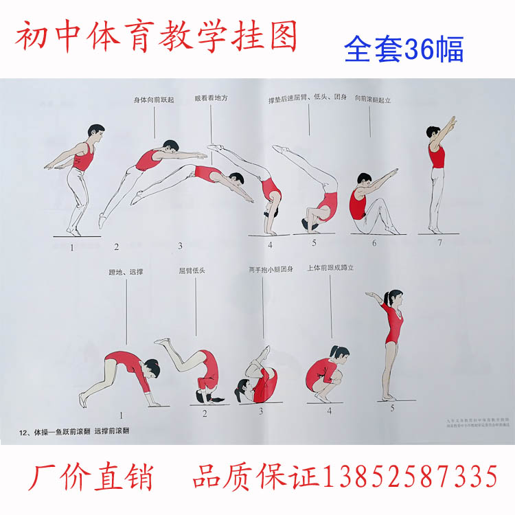 初中体育教学挂图 全套36幅 教材 教学仪器