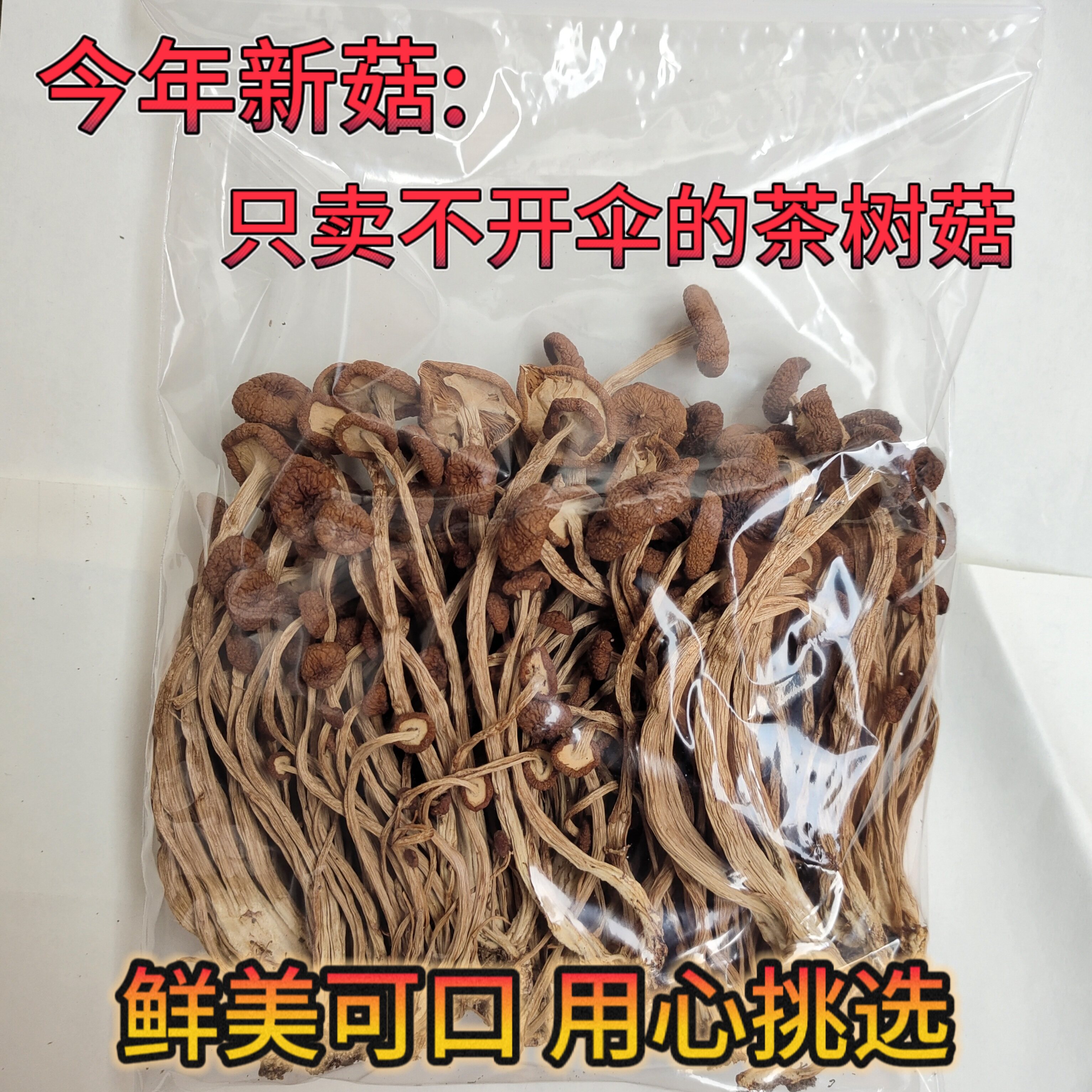 新鲜农家茶树菇干货不开伞茶树菇香菇类