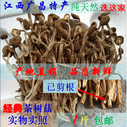 农家自产茶树菇已剪根不开伞茶薪香菇类