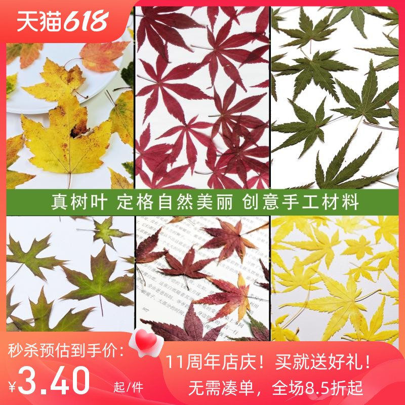 鸡爪槭香山北美红枫叶压花手机壳滴胶diy干花材料拼贴画橱窗装饰