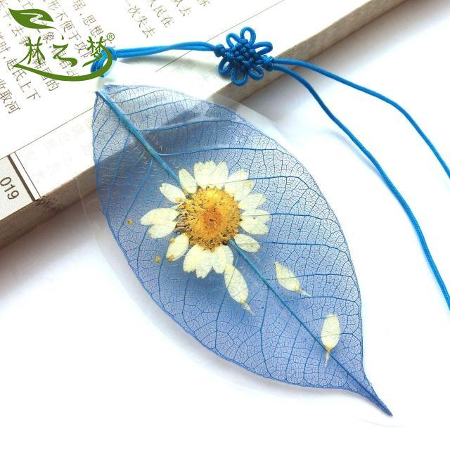 美丽与永恒的邂逅 天然花草树叶形态各异