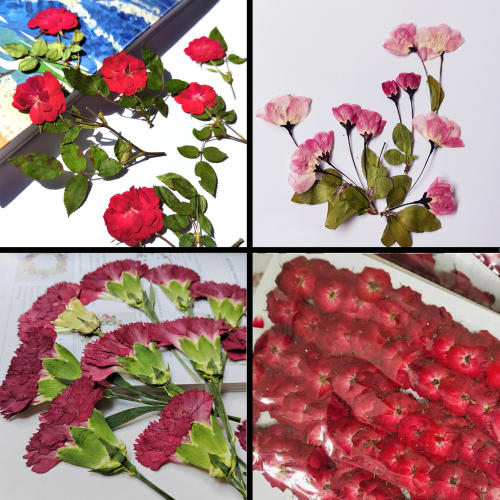 红玫瑰海棠花康乃馨手工干花包