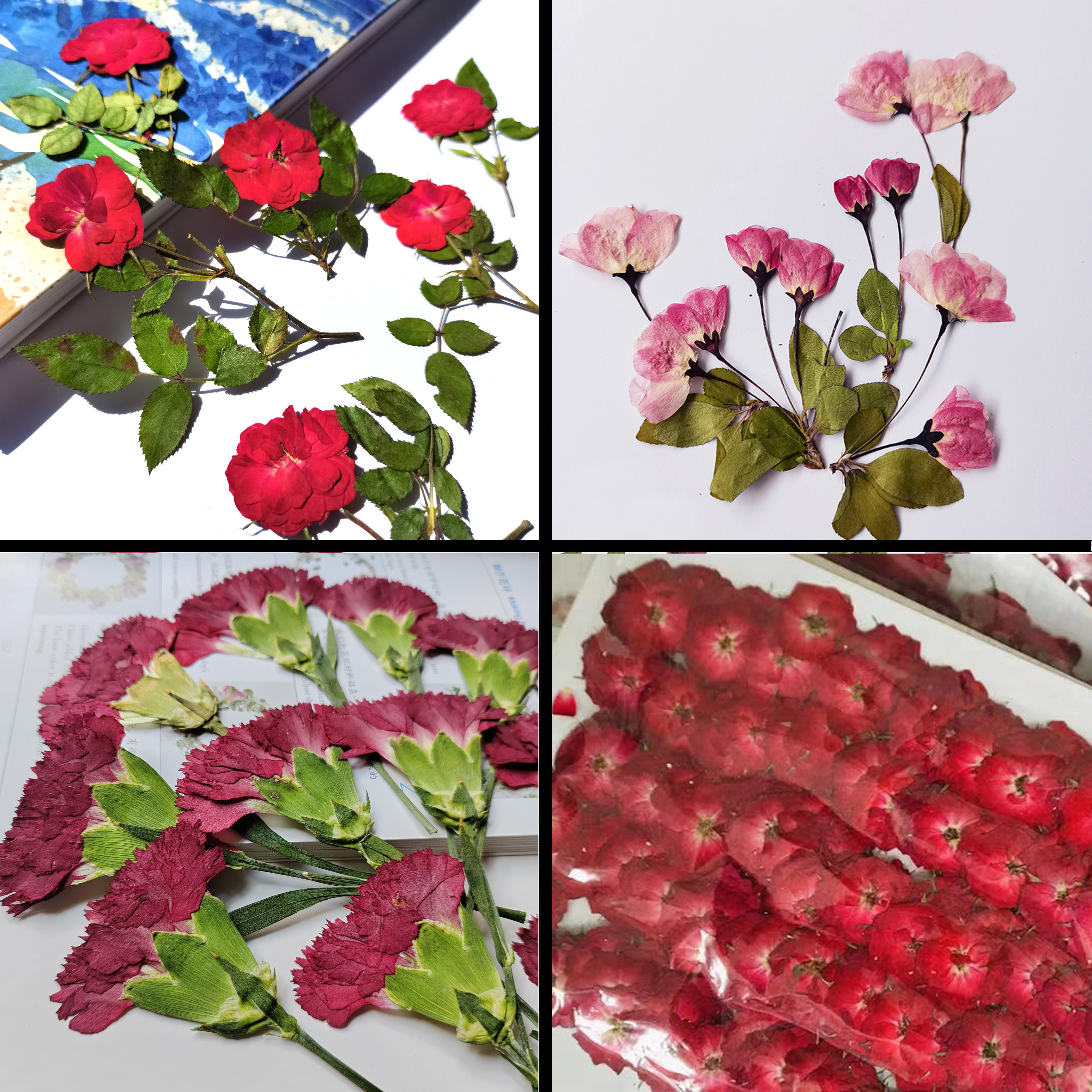 红玫瑰海棠花康乃馨手工干花包