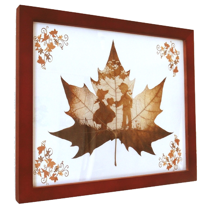 实木框原木色红木色棕色松木标本