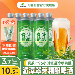 【新品+赠品】阳春白雪贵芽明前翠芽绿茶精酿啤酒新中式茶啤原浆