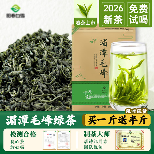湄潭毛峰绿茶浓香型散茶口粮茶
