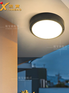 室外吸顶灯防水防虫庭院阳台屋檐天篷太阳能传感器门阳光房专用灯