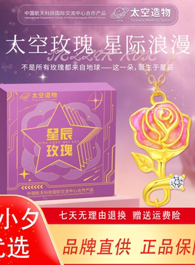 中国航天星辰玫瑰项链情人节礼物