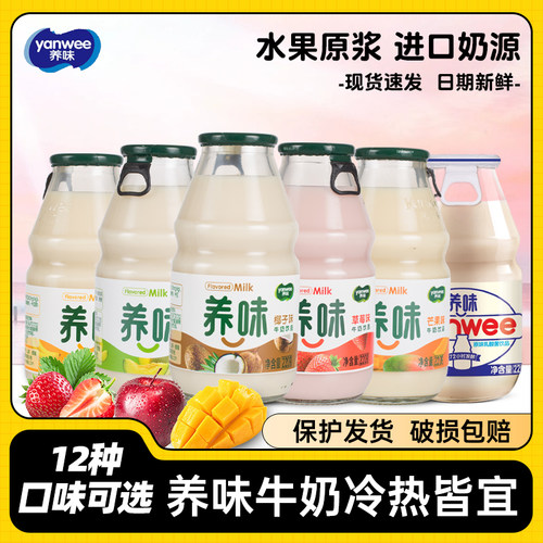 香蕉酸奶乳酸菌牛奶养味