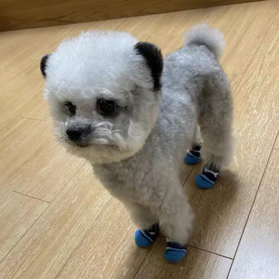 小狗鞋子宠物腿套防脏透气