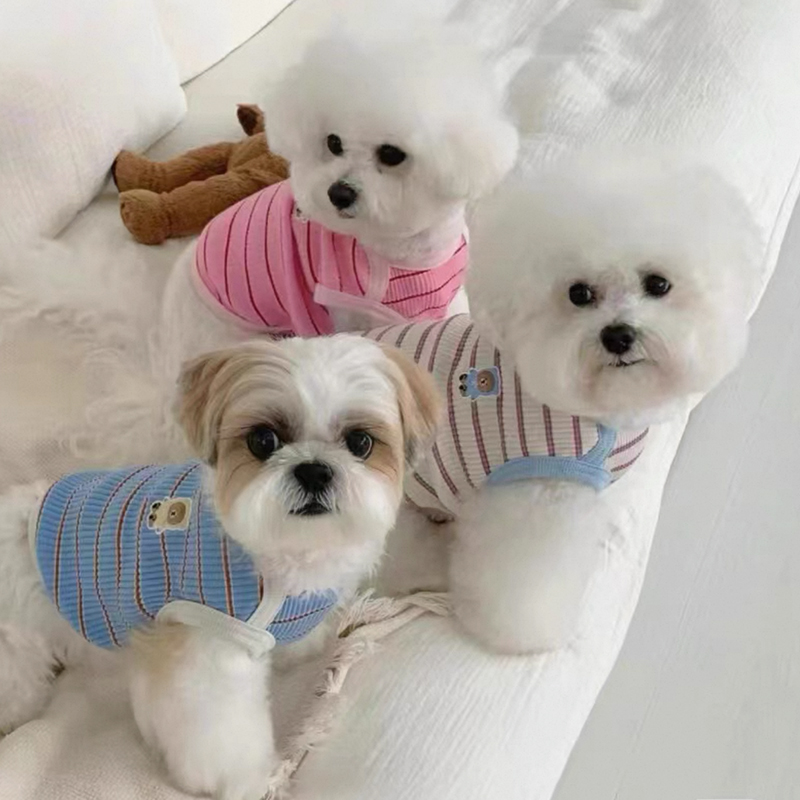 狗狗秋天衣服小狗秋季防掉毛比熊幼犬可牵引马尔泰两脚衣可爱条纹
