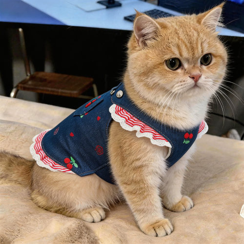 小猫衣服薄款幼猫夏天防掉毛金渐层高颜值樱桃层层裙可牵引牛仔衣