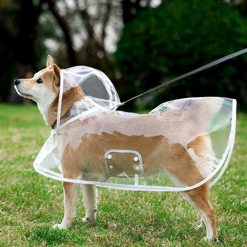 狗狗专用雨衣小型犬雨披四脚防水全包小狗斗篷中型犬带牵引环透明