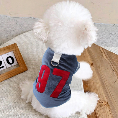 狗狗秋季新款衣服幼犬小型犬带牵引环比熊秋天丝绒球衣泰迪西高地