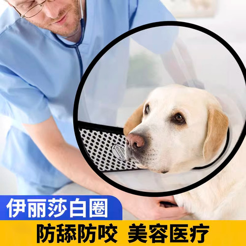 狗狗伊丽莎白圈软狗用魔术贴