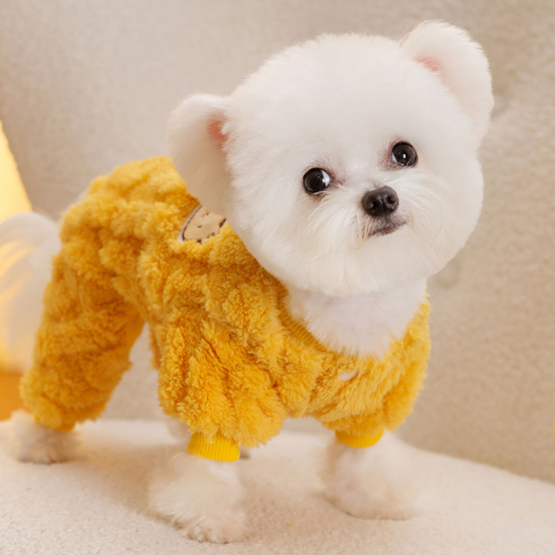 狗狗衣服2025新款冬装小狗冬天外出可牵引可爱四脚衣小熊防风绒衣