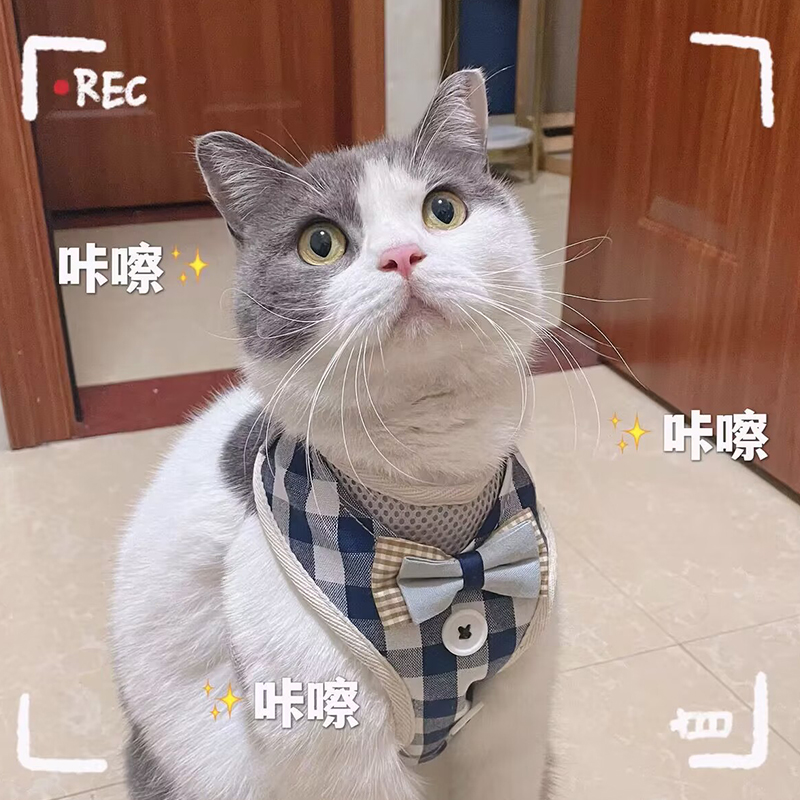 猫牵引绳可调节栓猫绳透气可爱