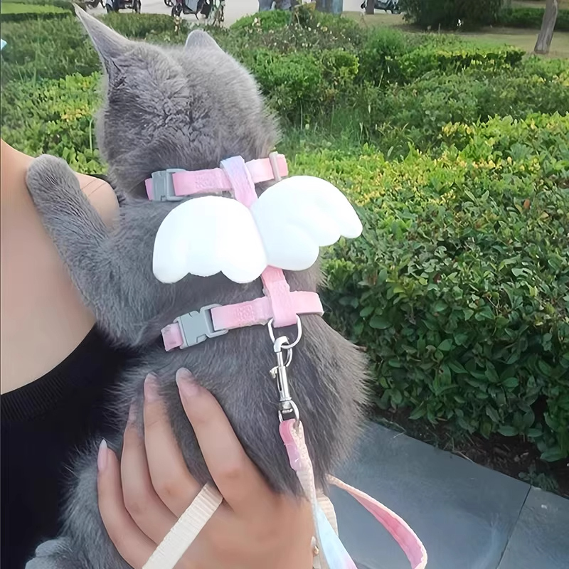 小猫牵引绳猫咪专用防挣脱两个月布偶猫翅膀遛猫绳可调节幼猫蓝猫