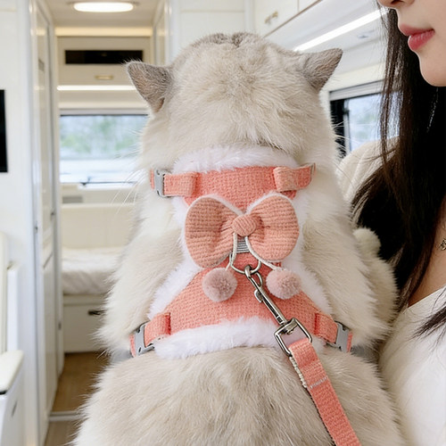 猫咪牵引绳遛猫绳子德文猫挣脱防风新款秋冬小奶猫绳子专用胸背带
