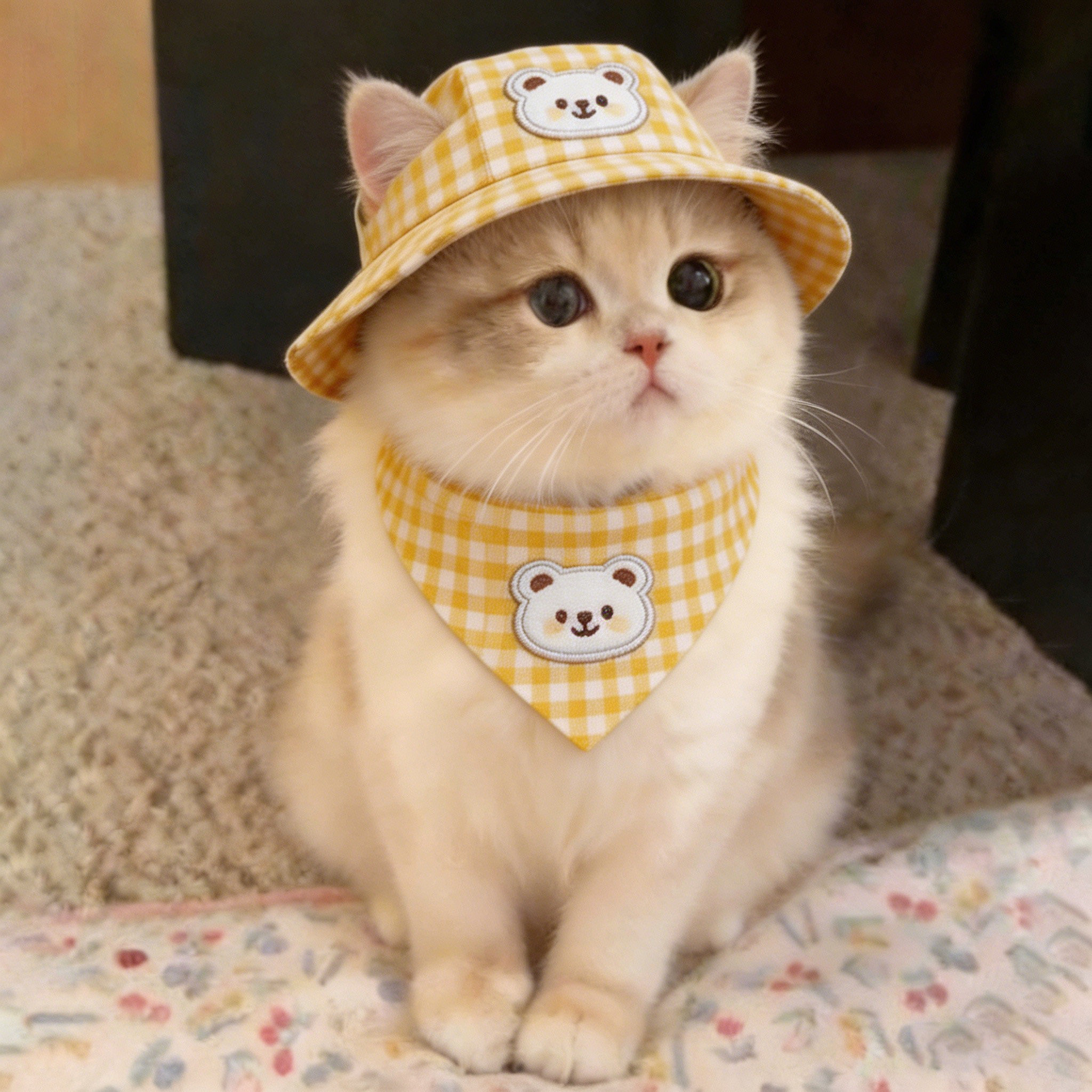 猫咪帽子露耳朵夏季外出专用遮阳防脱金吉拉户外漏耳遮阳帽橘猫图片