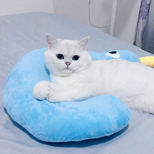 猫咪小枕头四季通用踩奶枕