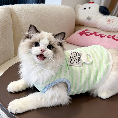猫咪衣服防掉毛薄款春装夏天幼猫户外带牵引环条纹圆领套头衫宠物
