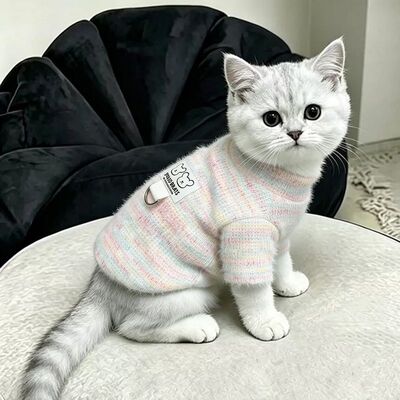 冬季猫咪衣服布偶猫防脏保暖加菲猫高颜值彩虹绒两脚衣猫猫牵引服