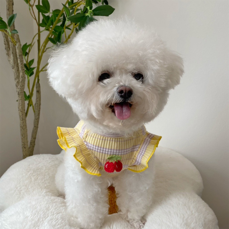 比熊狗狗衣服背心夏天薄款