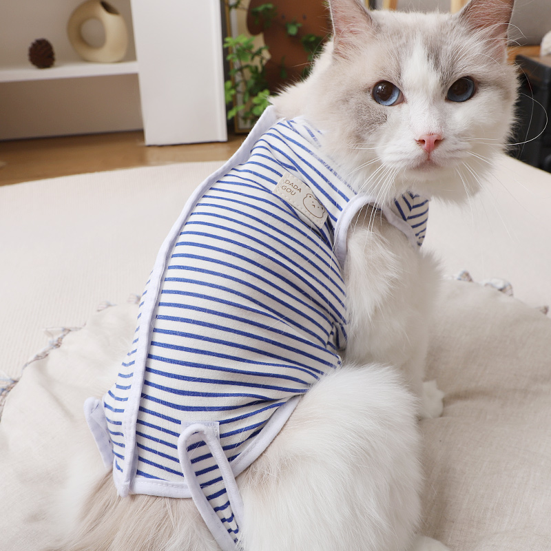小奶猫戒奶服公猫绝育服术后防舔夏季居家舒适空调衣猫咪用品大全