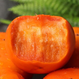 日本甜柿树苗脆柿苗嫁接富有柿子树苗脱涩柿苗南北方种植当年结果