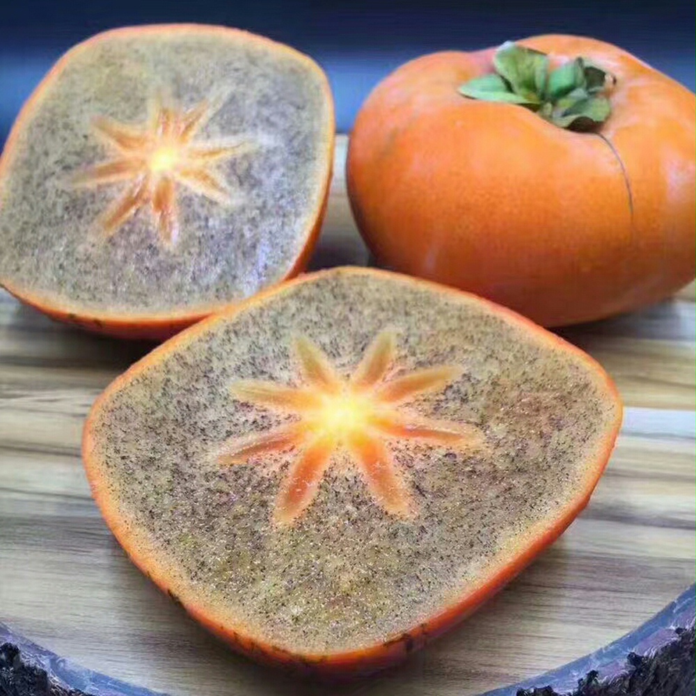 新品种和歌山黑糖柿子罕见水果苗好吃不涩脆甜无核黑肉脆柿子树苗