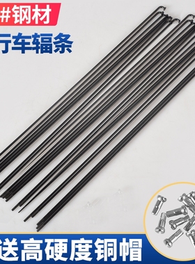 适用车圈捷安特辐条自行车钢制黑色人力钢条宝宝好永久车载祺月