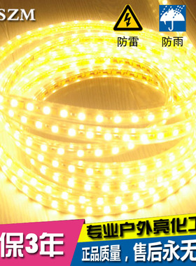 Led灯带3528/5050/3014/5730贴片七彩灯条高亮吊顶光带220V防水