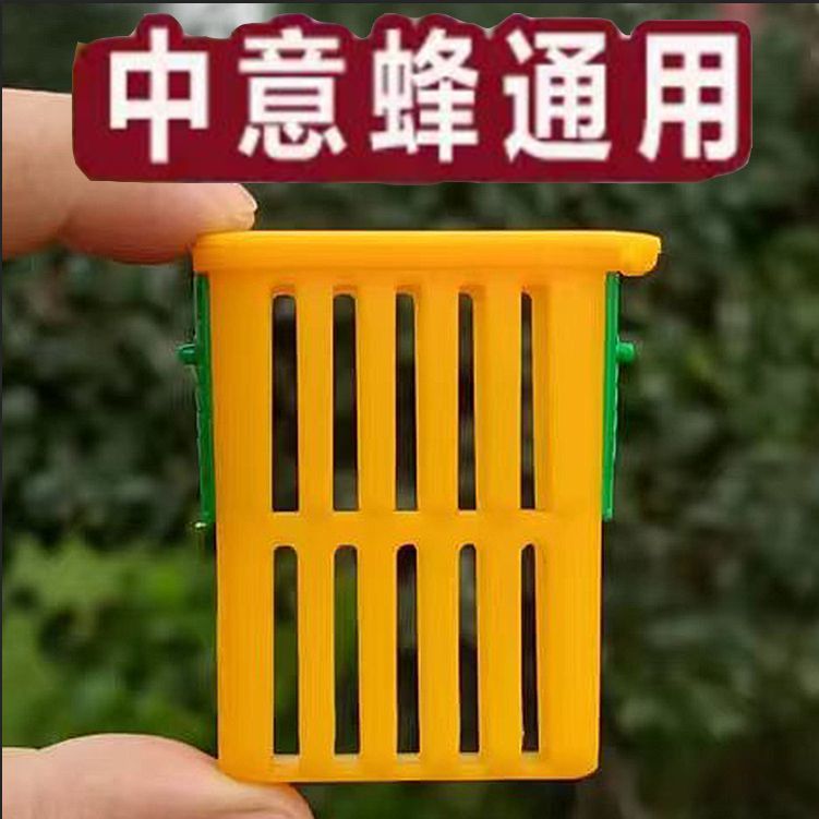 中意蜂通用多功能囚王笼关蜂王控王介控王笼防蜂群飞逃养蜂工具