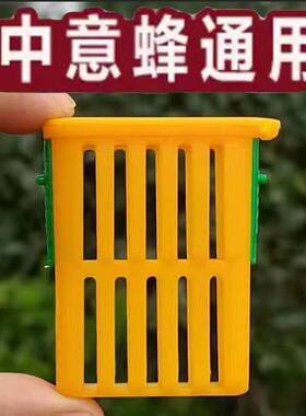 中意蜂通用多功能囚王笼关蜂王控王介控王笼防蜂群飞逃养蜂工具