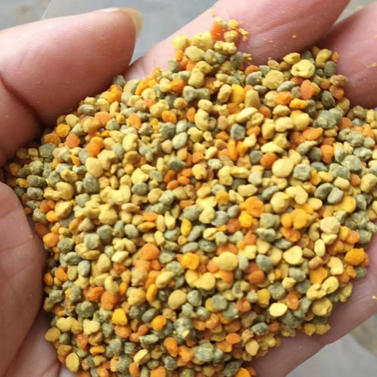 2025年新鲜百花杂花粉可食用百花花粉颗粒花粉天然原百花花粉