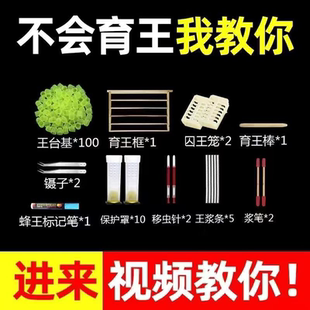 包邮 育王工具全套育王台基中蜂育王框以重振养蜂培育蜂王专用工具
