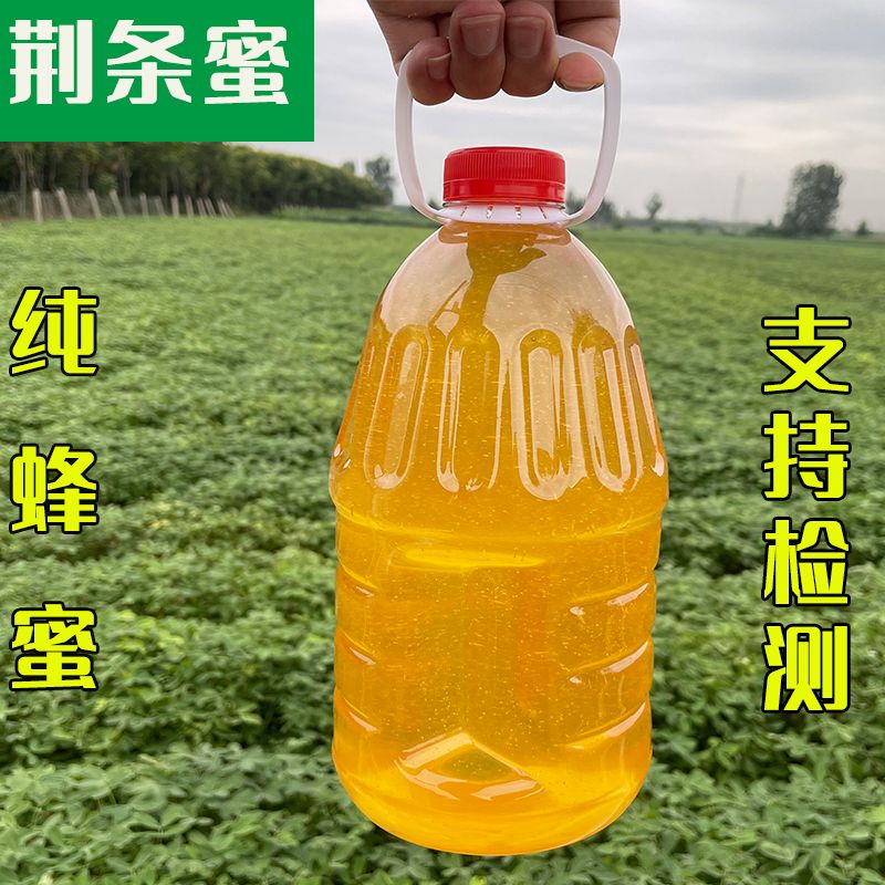 天然喂蜂蜜 纯正蜂蜜喂蜂专用蜂蜜 蜜蜂口粮蜜蜂饲料中蜂饲料