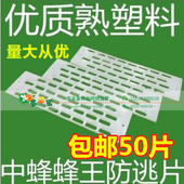 养蜂工具中蜂蜂王防跑片蜜蜂隔王片珊囚王笼塑料隔王板防逃器 包邮
