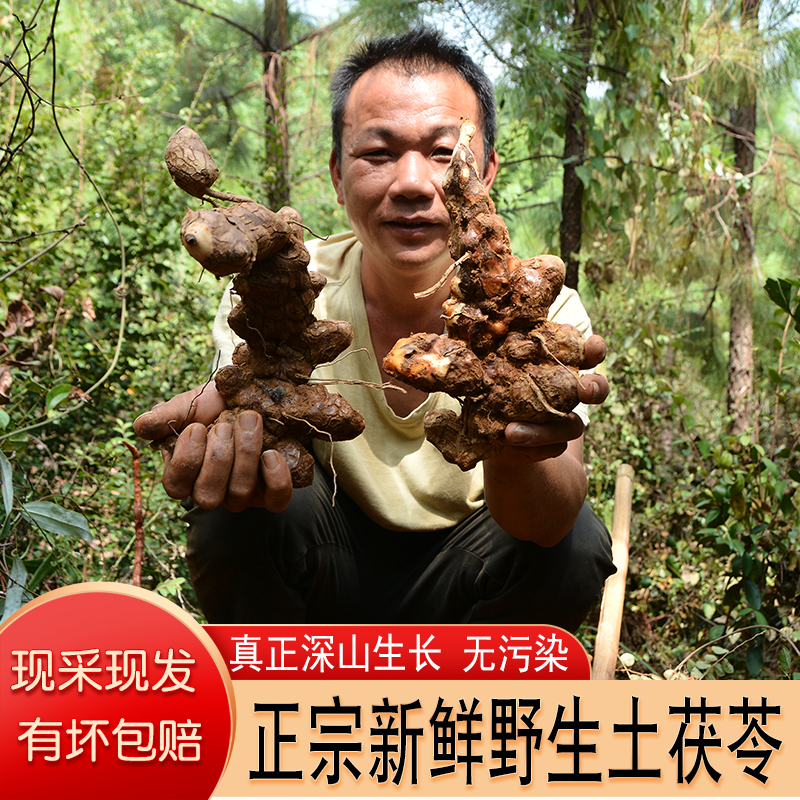 土茯苓野生新鲜清补凉煲汤料广东煲汤料炖汤材料包乌鸡汤煲汤材料