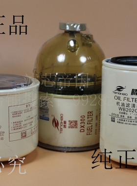 江淮骏铃跃进H500潍柴 DX300TB2柴油滤芯 Z20140023A滤清器WB202G