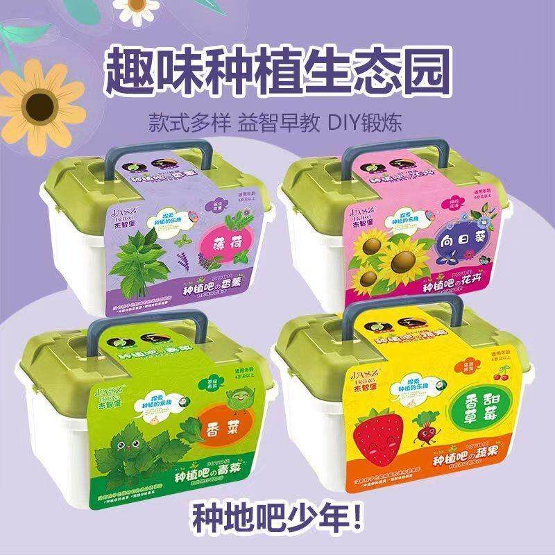 diy儿童种植小盆栽可食用蔬菜种植套装盲盒薄荷6到12岁透明阳台