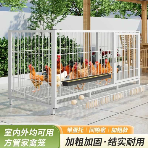 鸡笼家用加粗粗大特大号养殖大号折叠笼鹅笼自动滚蛋厂家鸡舍直发