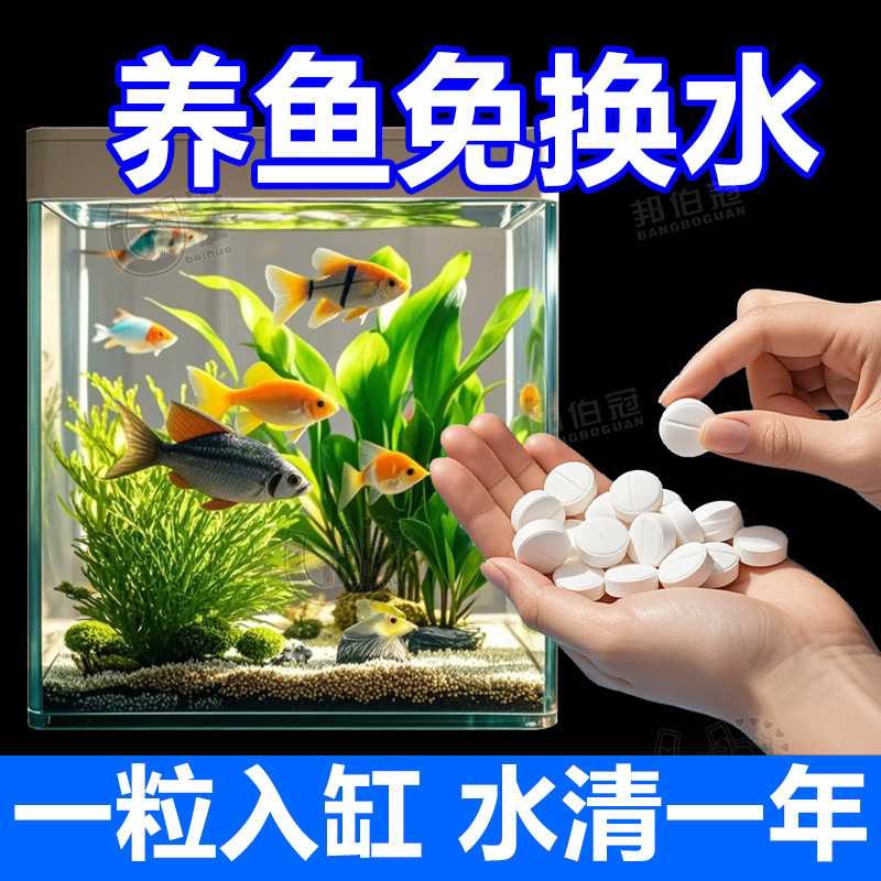 硝化细菌鱼缸专用胶囊净水活菌养鱼除臭清藻净水片