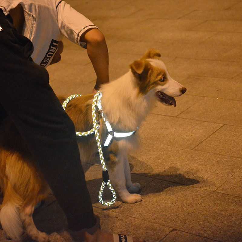 狗狗反光牵引绳胸背带夜用反光狗链中小型哈士奇金毛背心式遛狗绳