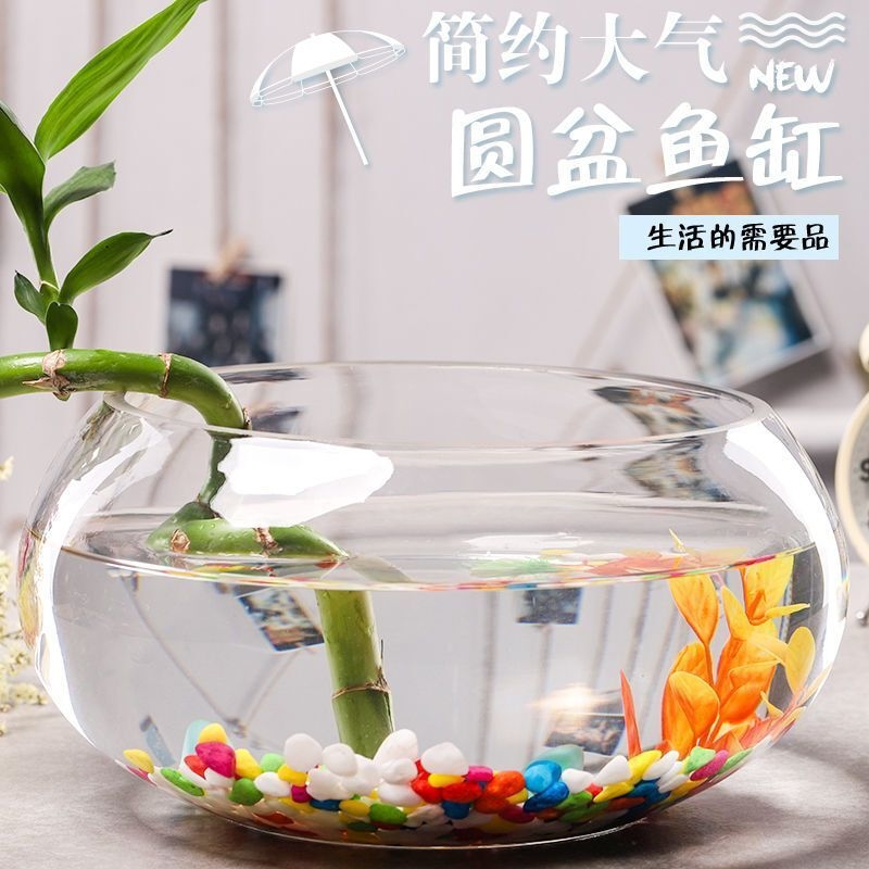 简约玻璃鱼缸圆形加厚透明迷你乌龟金鱼缸水培生态造景办公桌客厅