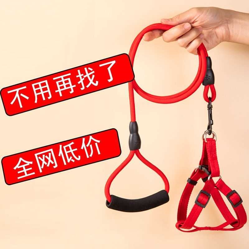 狗链子牵引绳狗圈脖圈小型犬泰迪牵狗绳中型犬大型犬金毛遛狗绳子