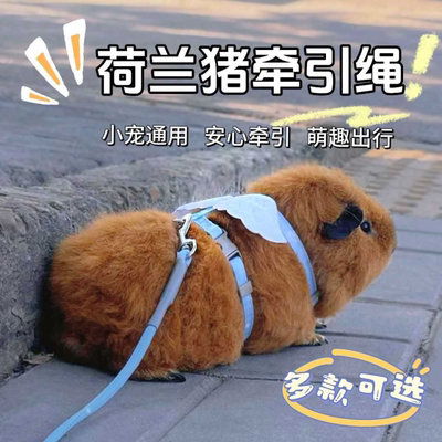 荷兰猪牵引绳豚鼠防挣脱侏儒兔龙猫兔子貂外出专用衣服宠物可调节