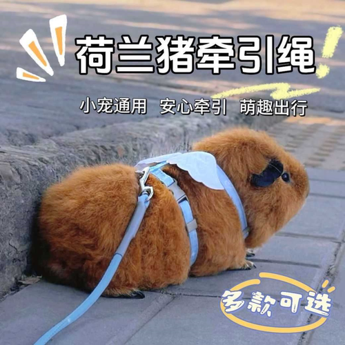 荷兰猪牵引绳豚鼠防挣脱侏儒兔龙猫兔子貂外出专用衣服宠物可调节