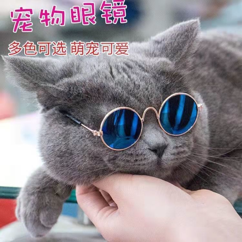 宠物太阳眼镜猫咪拍照用品狗狗装酷个性中小型犬猫咪霸气搞怪眼镜